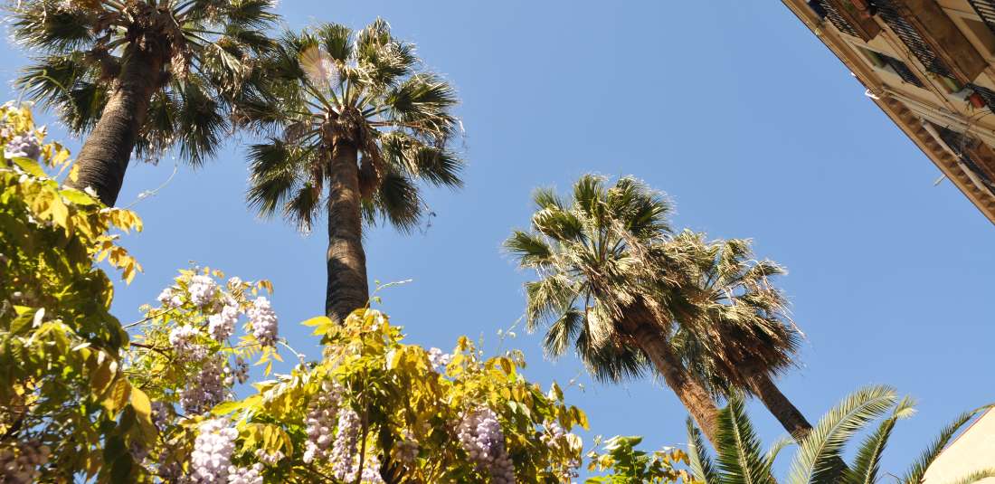 Категория A