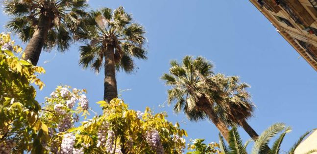 Коледа - Барселона