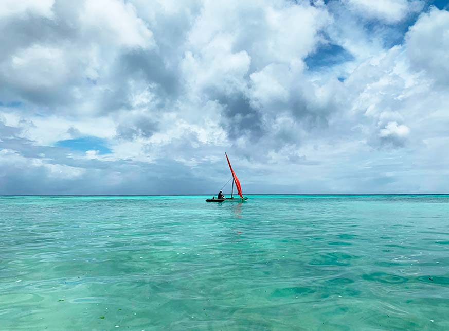 3-ти Март на о-в Занзибар, 28.02 - 08.03.2026, група с водач